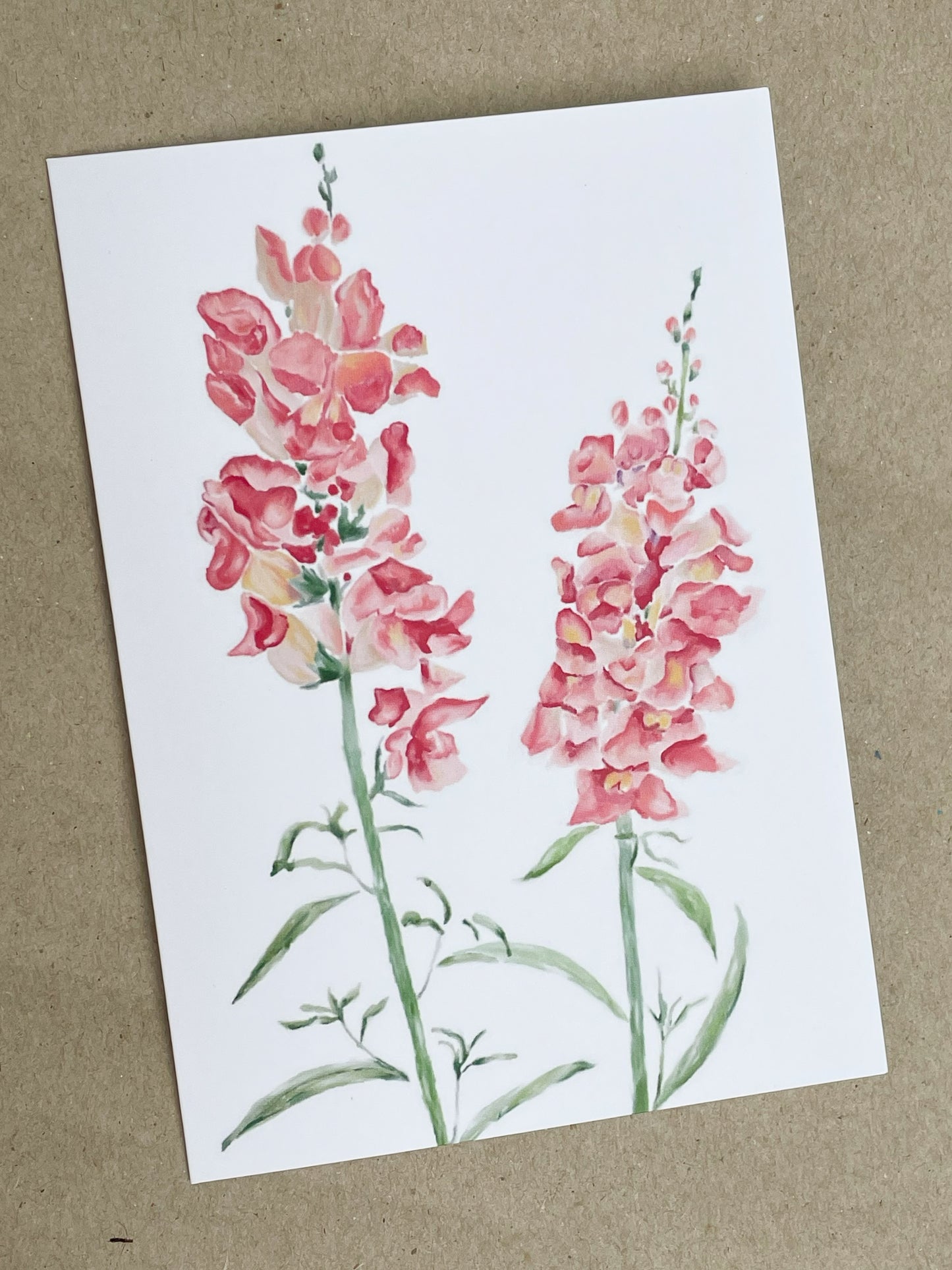 Snapdragon Greeting Card