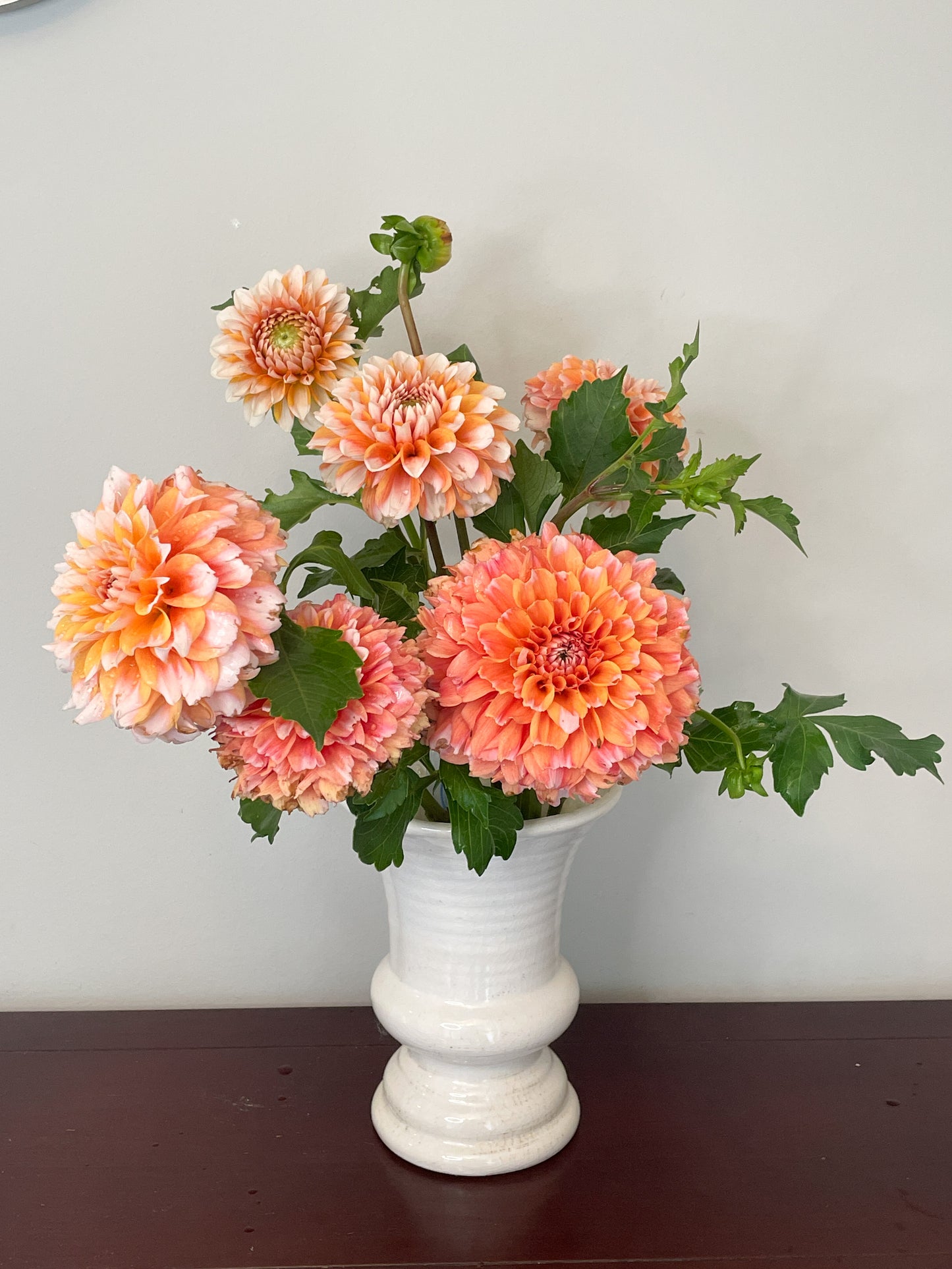 Hollyhill Orange Ice