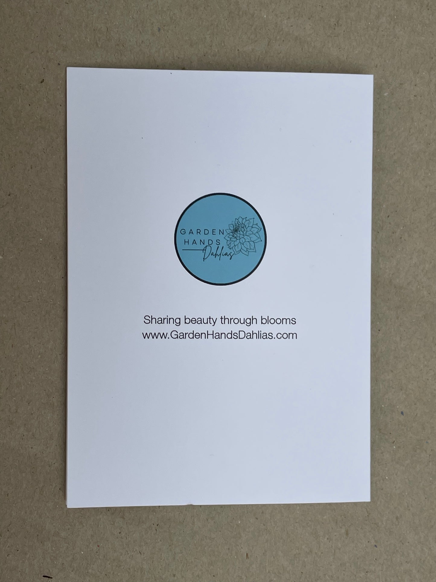 Cosmos Greeting Card