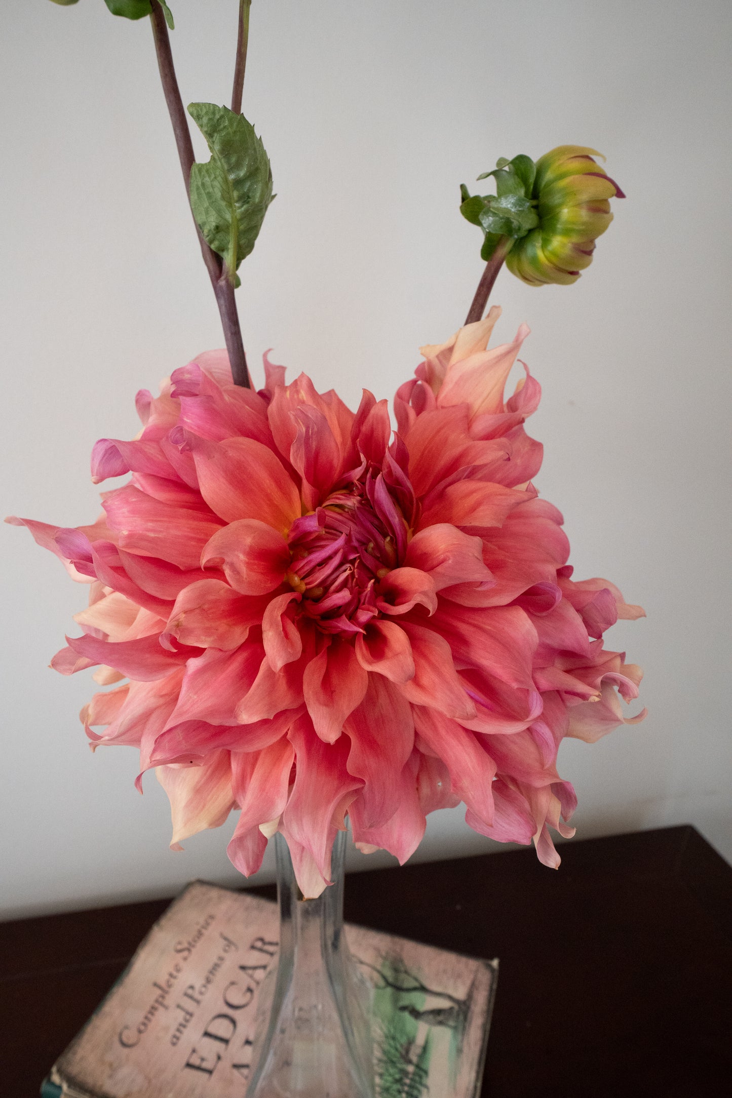 Penhill Watermelon