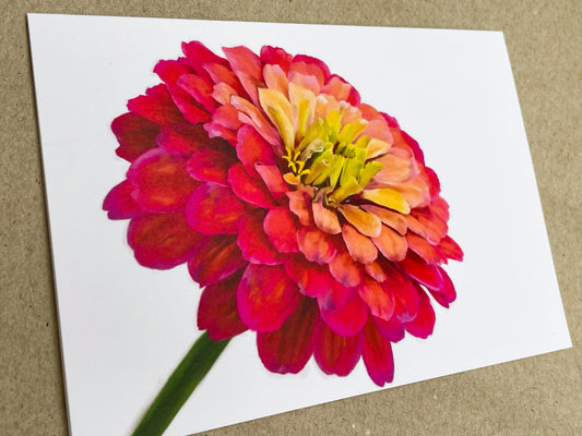 Zinnia Greeting Card