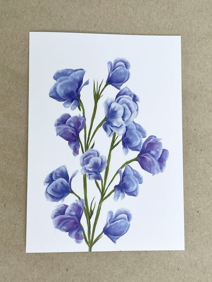 Sweet Pea Greeting Card