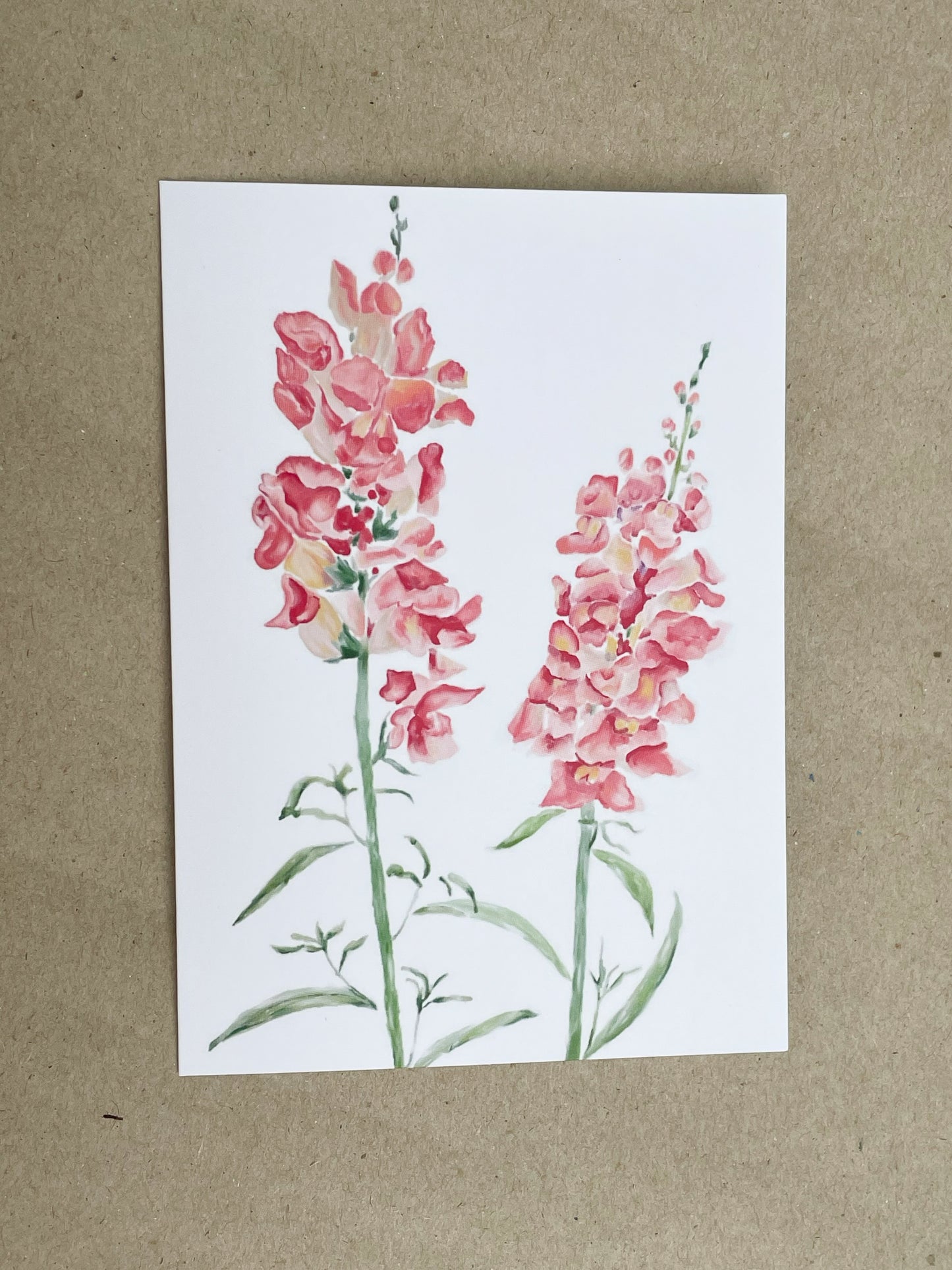 Snapdragon Greeting Card