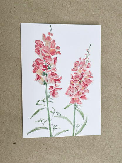 Snapdragon Greeting Card