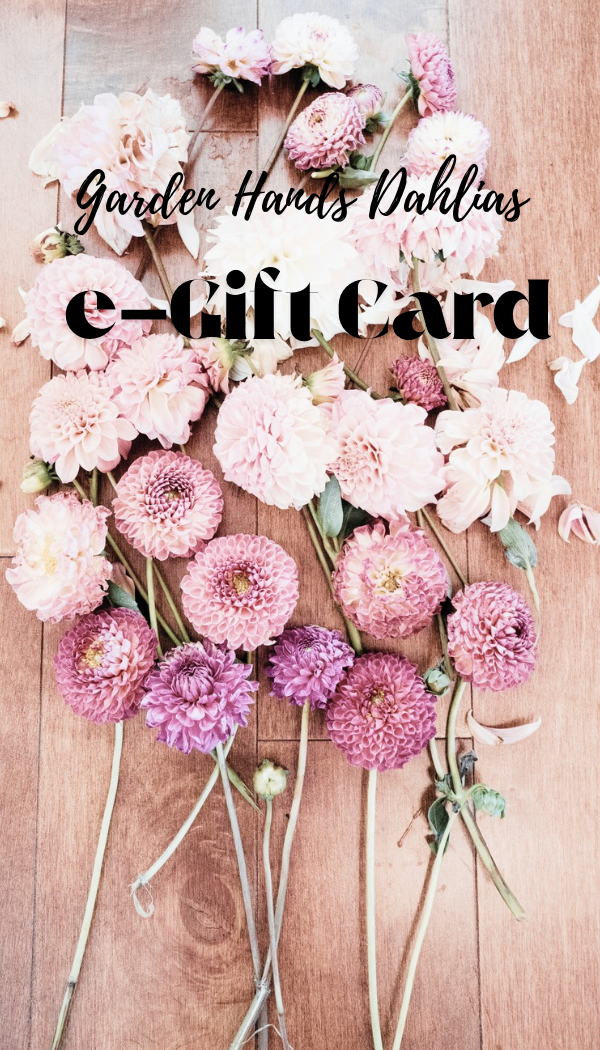 Garden Hands Dahlias e-Gift Card