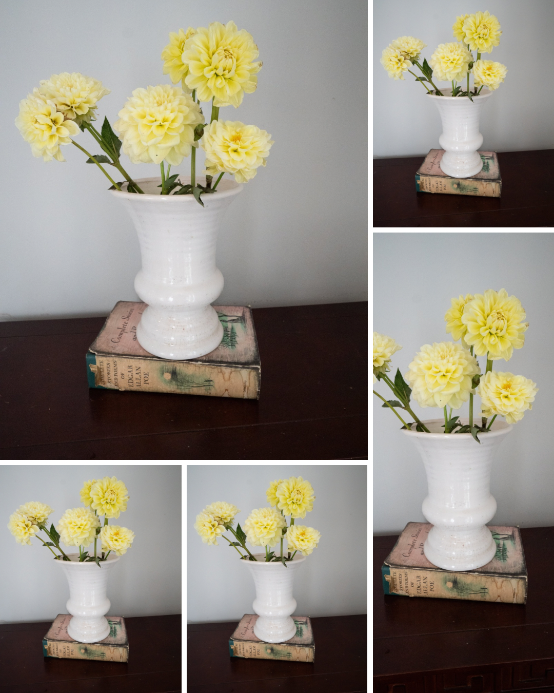 Sun Kissed - Bulk - 5 Tubers