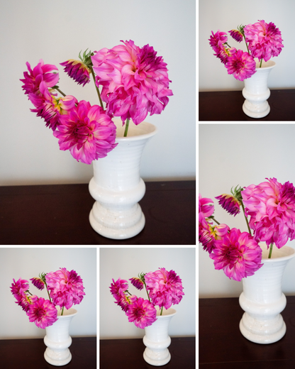 Colorado Classic - Bulk - 5 Tubers