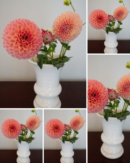 Natalie G - Bulk - 5 Tubers