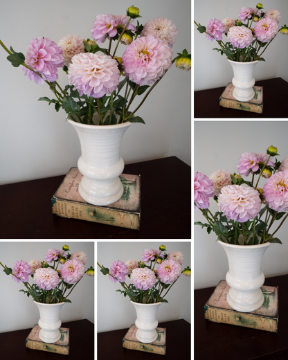 Marionberry Milkshake - Bulk - 5 Tubers