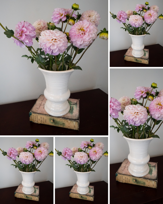 Marionberry Milkshake - Bulk - 5 Tubers