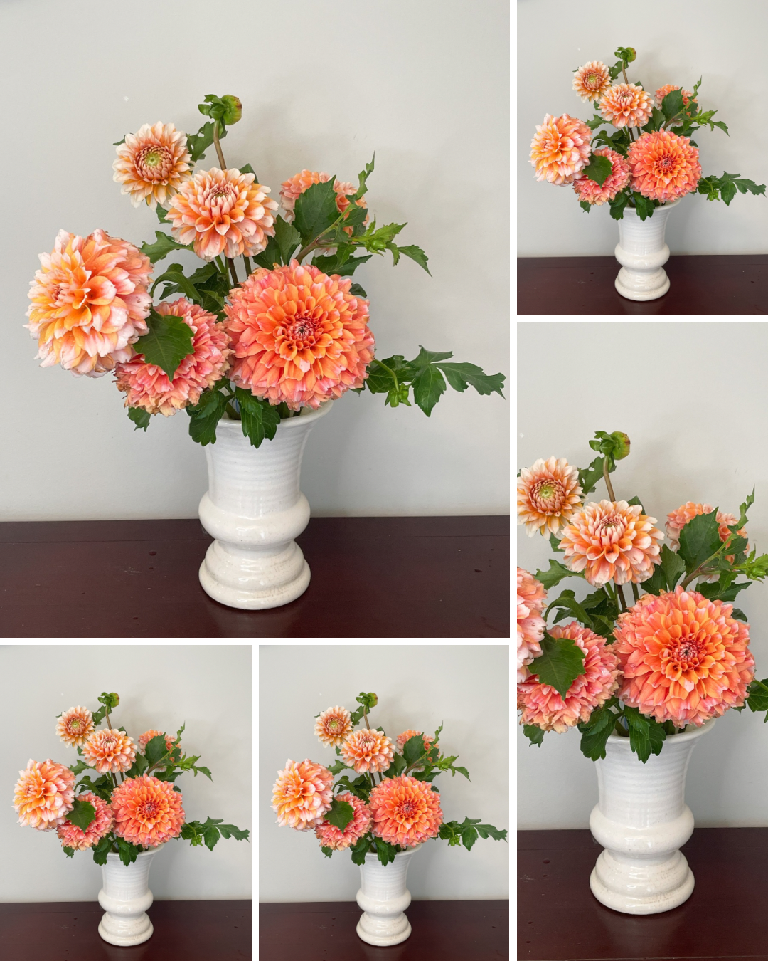 Hollyhill Orange Ice - Bulk - 5 Tubers